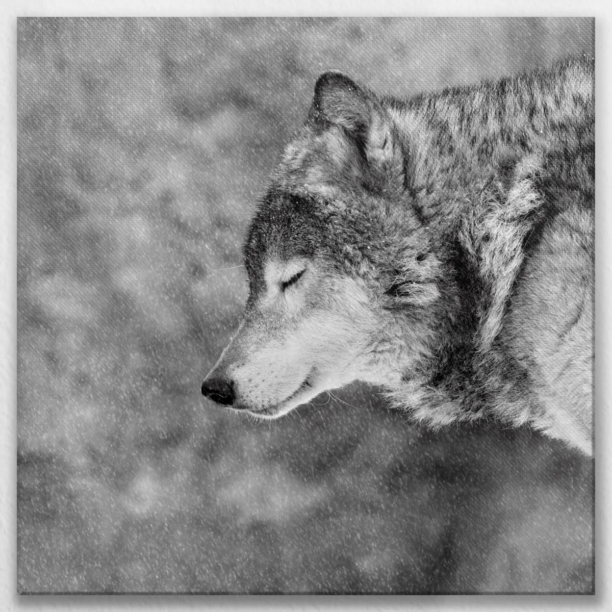 LW-080W080
