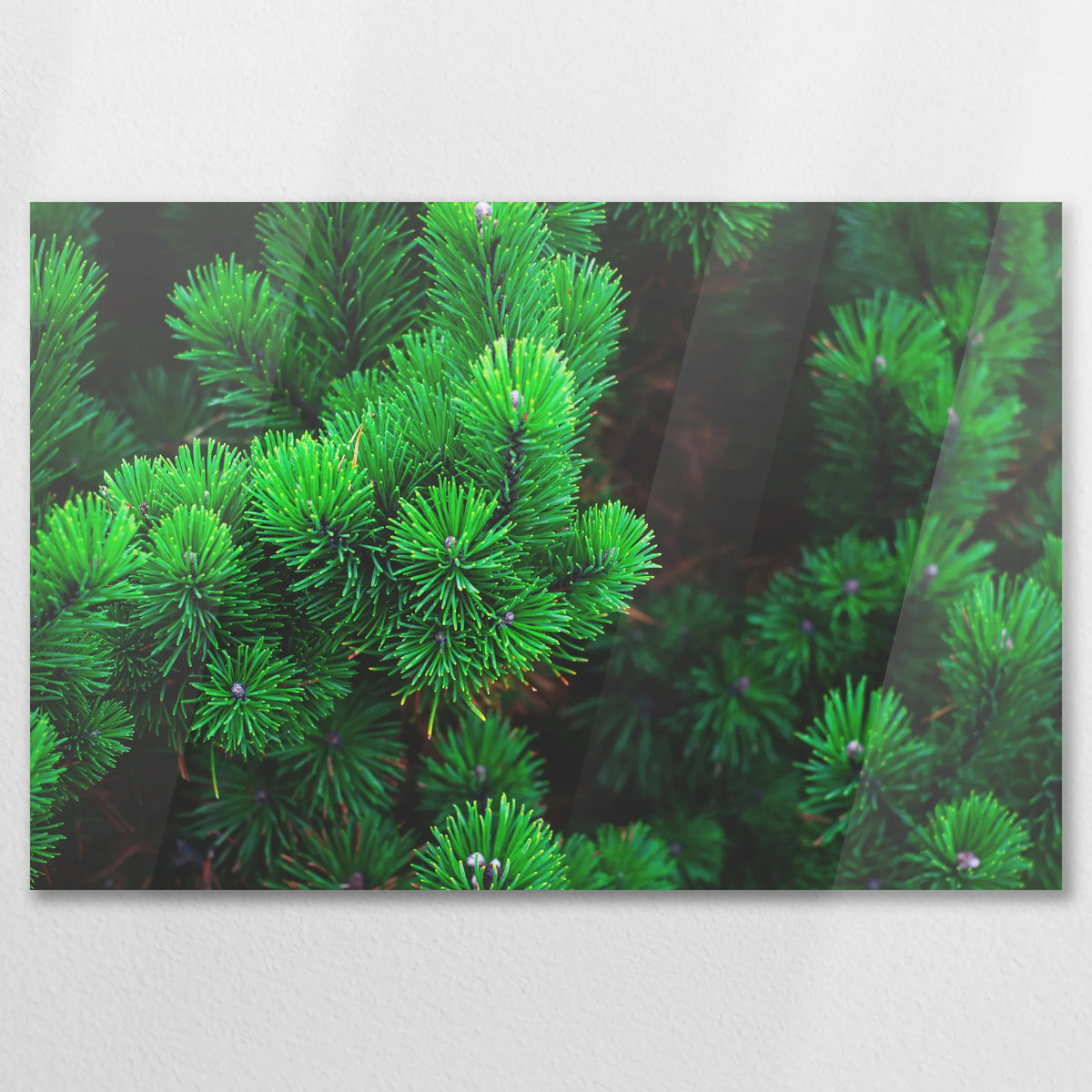 AC-090W060