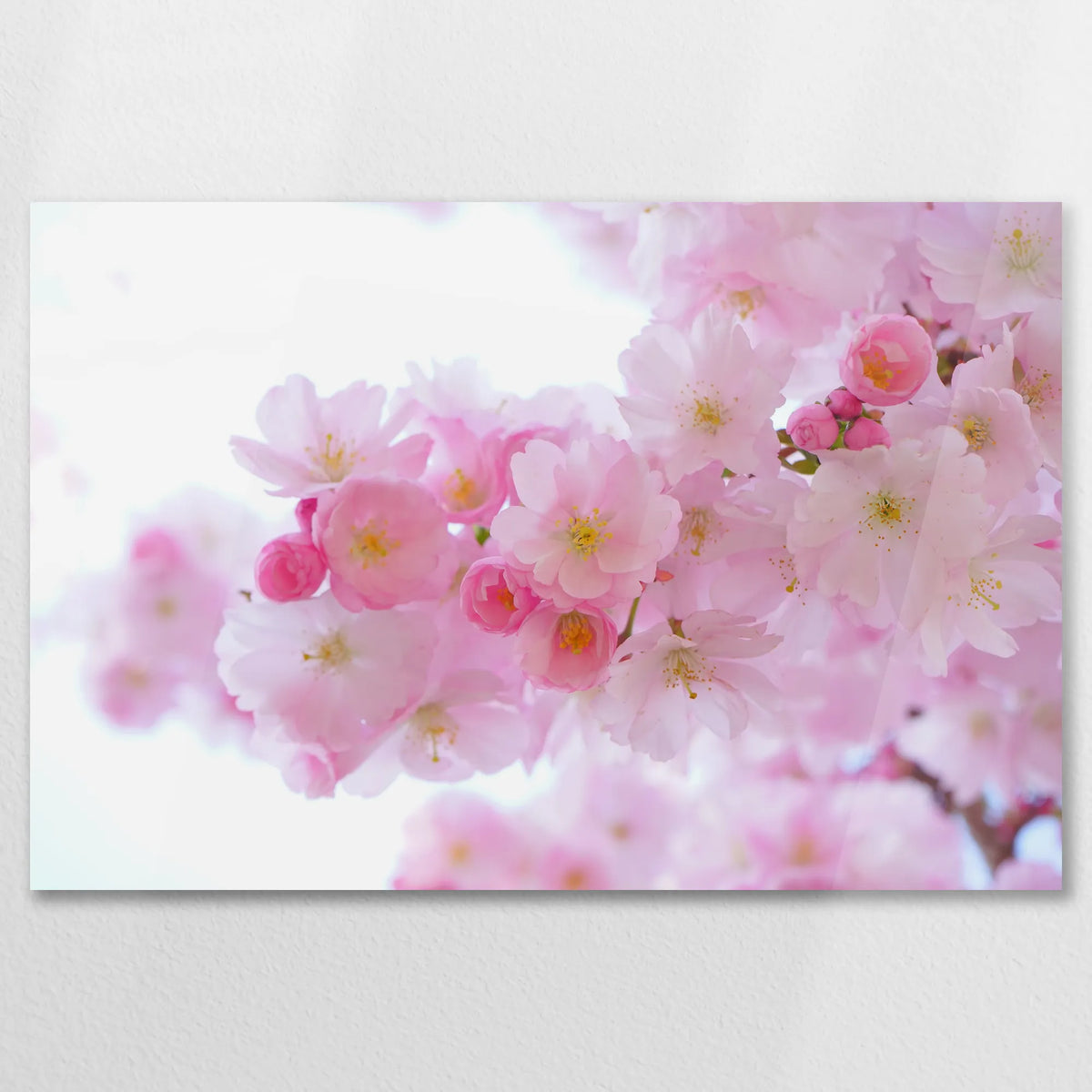 AC-090W060