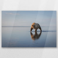 AC-045W030