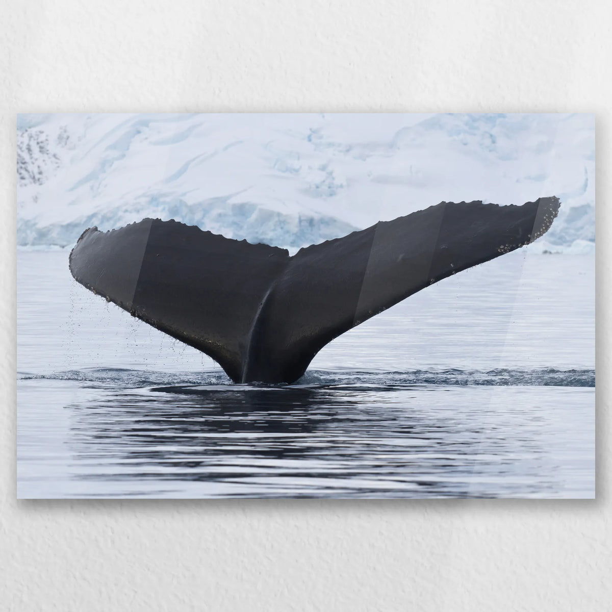 AC-030W020