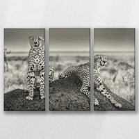 LW-060R040