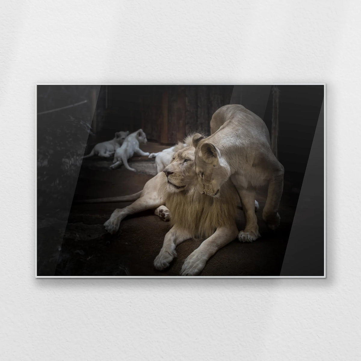 PS-120W080