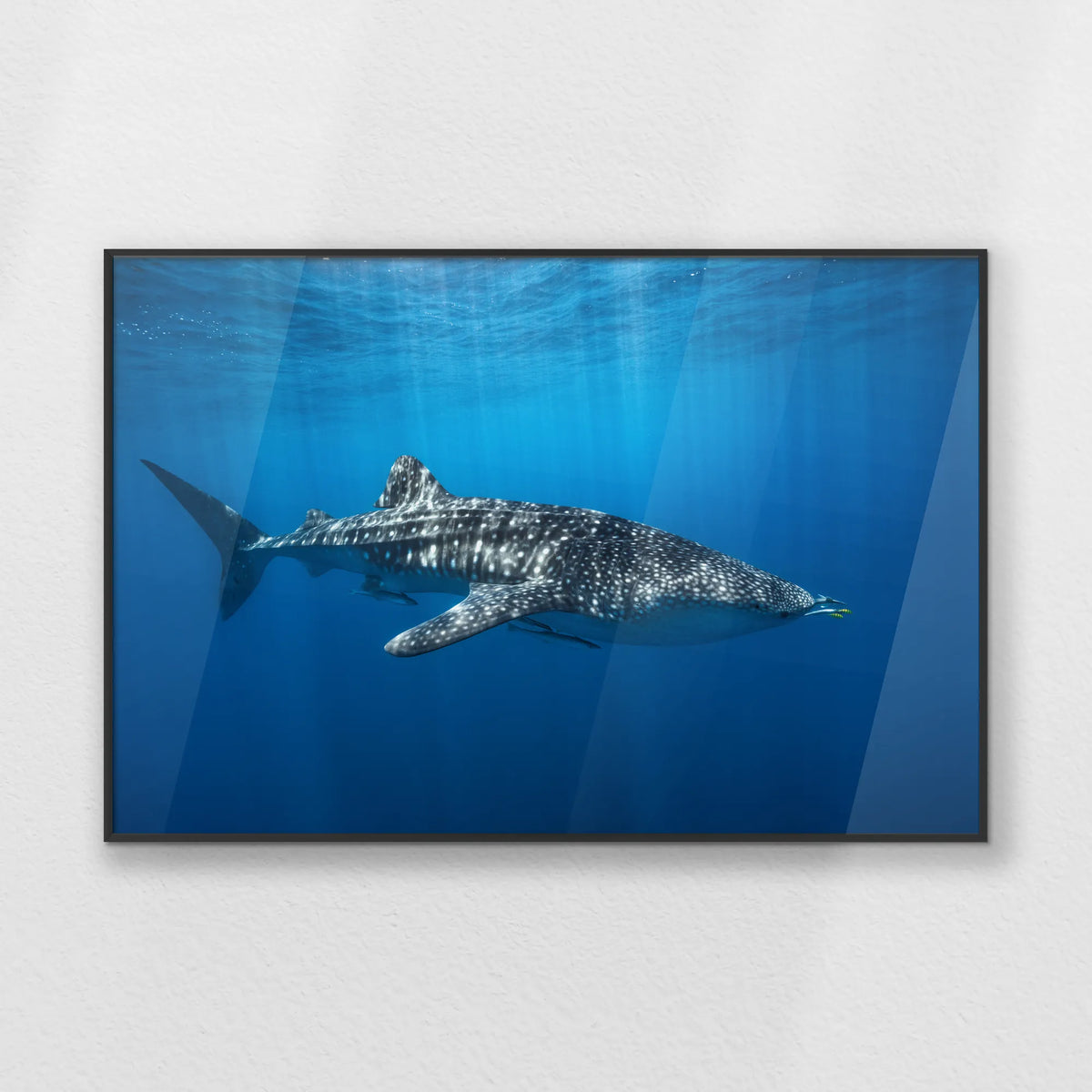 PB-093W062