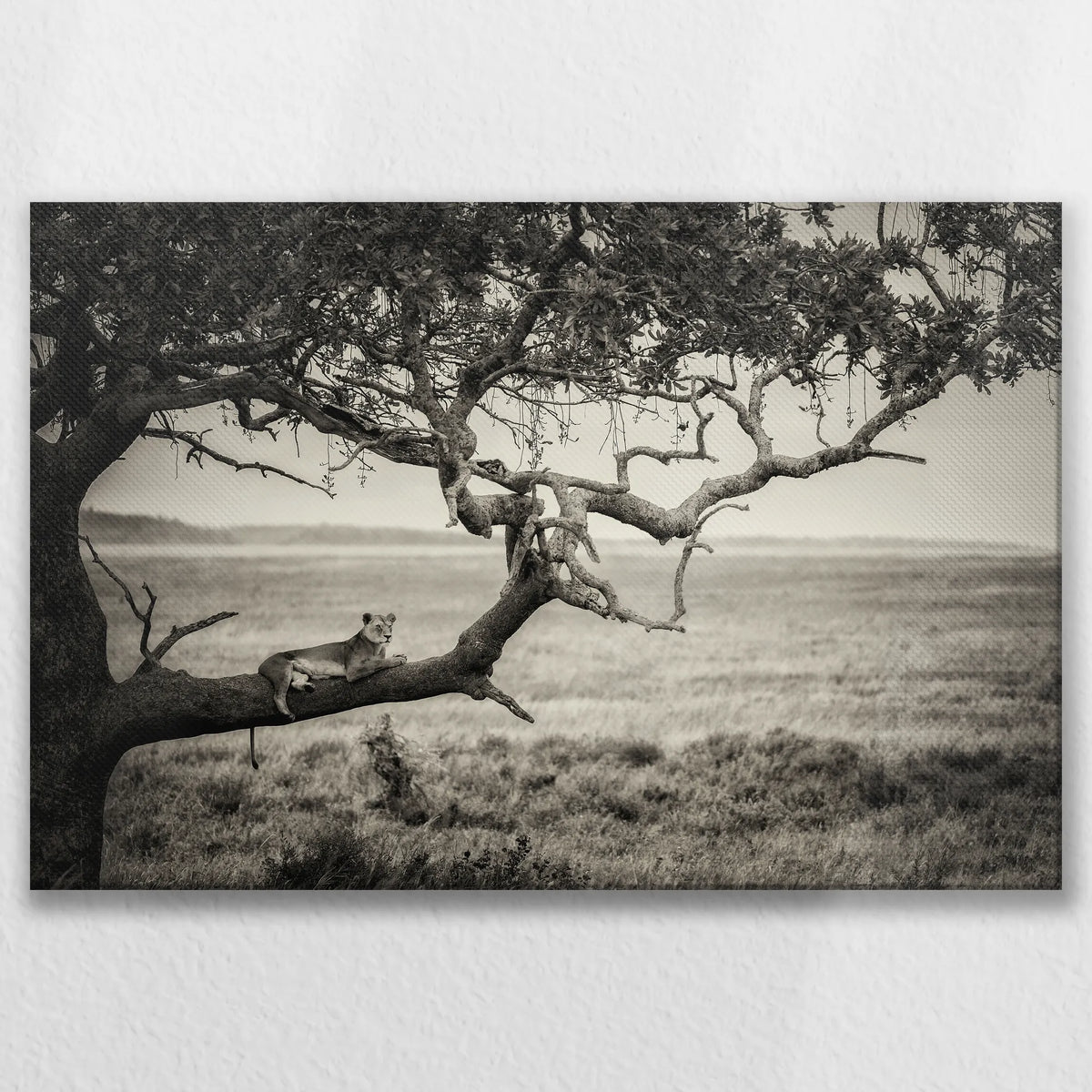 LW-075W050