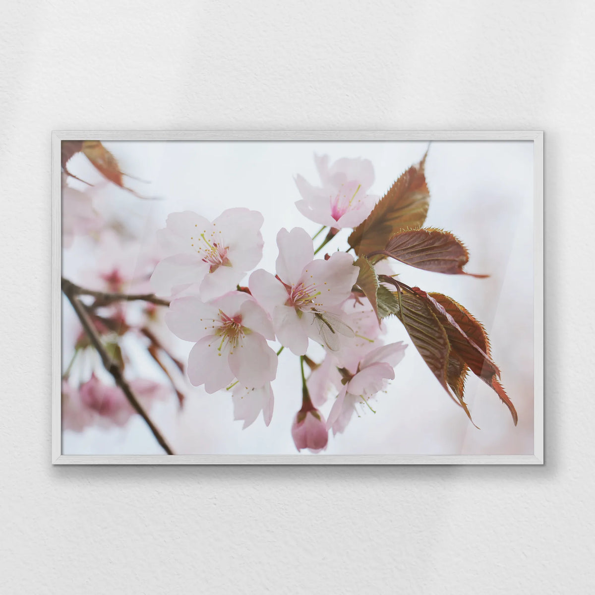 PW-093W062