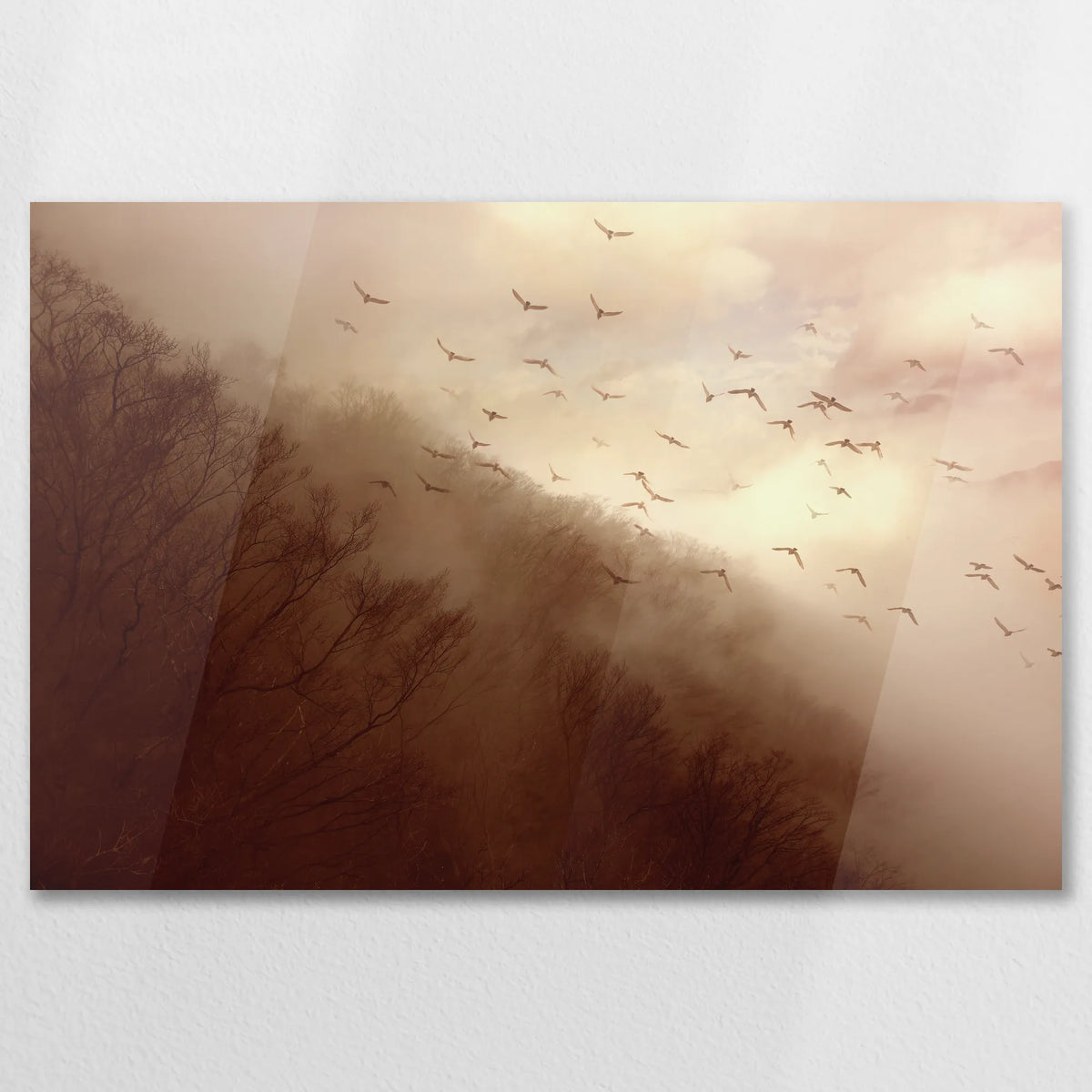 AC-075W050