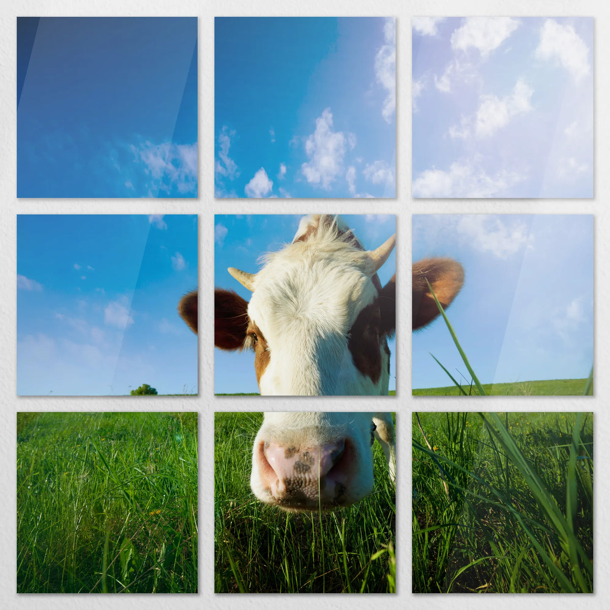 AC-210Z210
