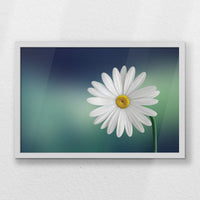 LWW060W040