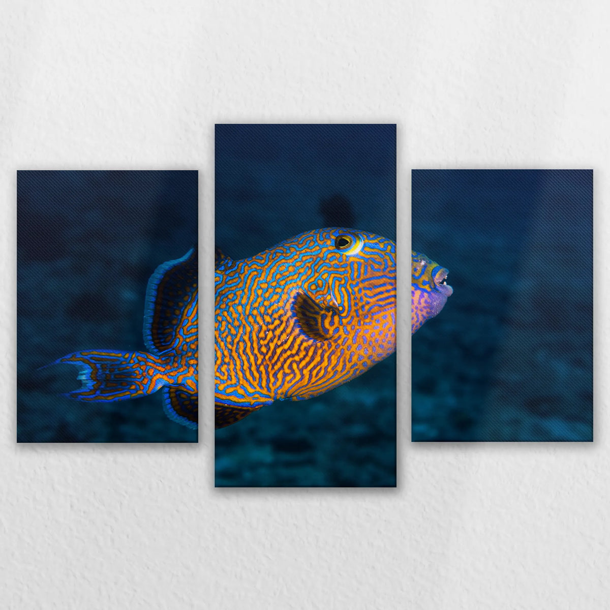 LW-120T080
