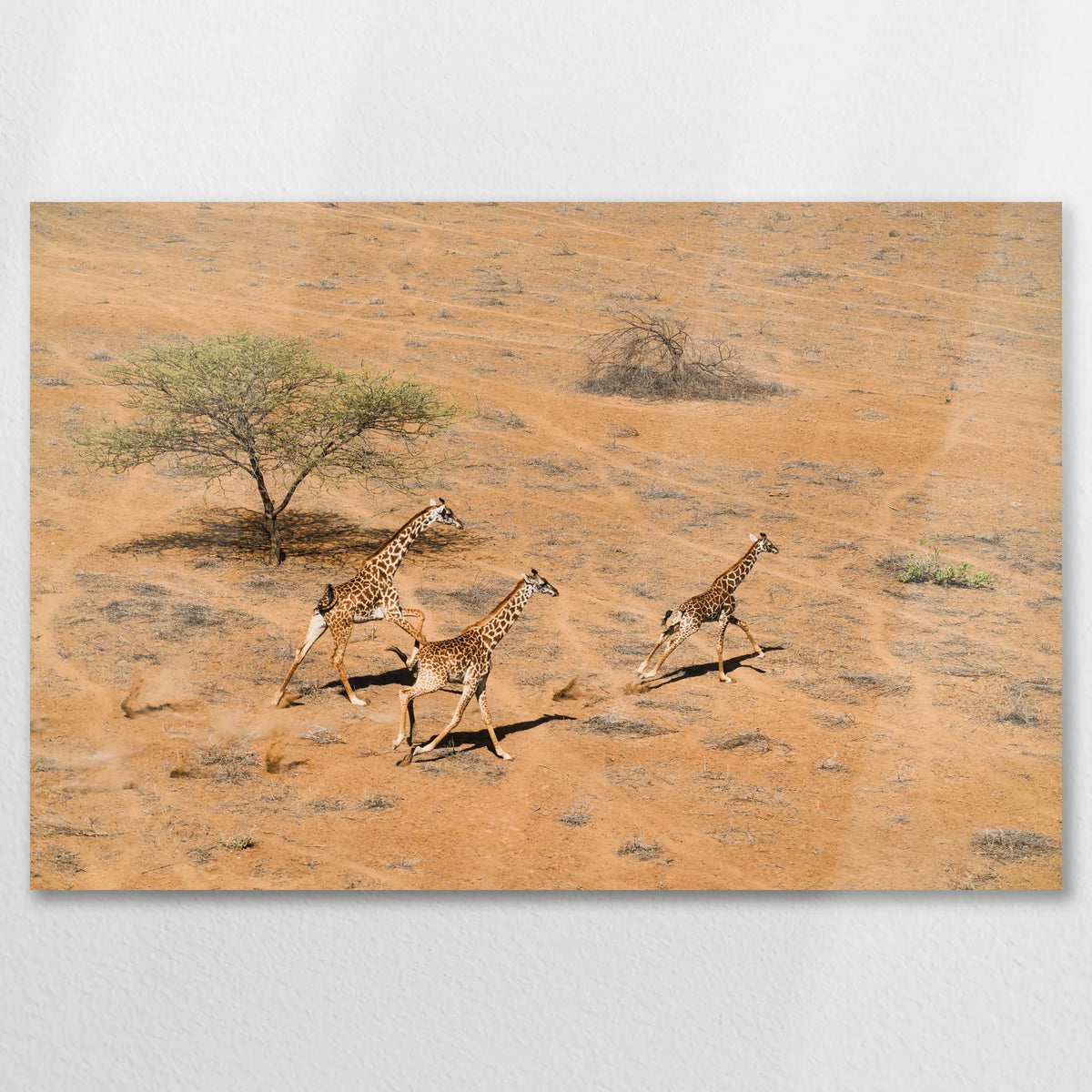 AL-090W060