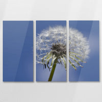 AC-090R060