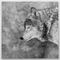 AC-030W030