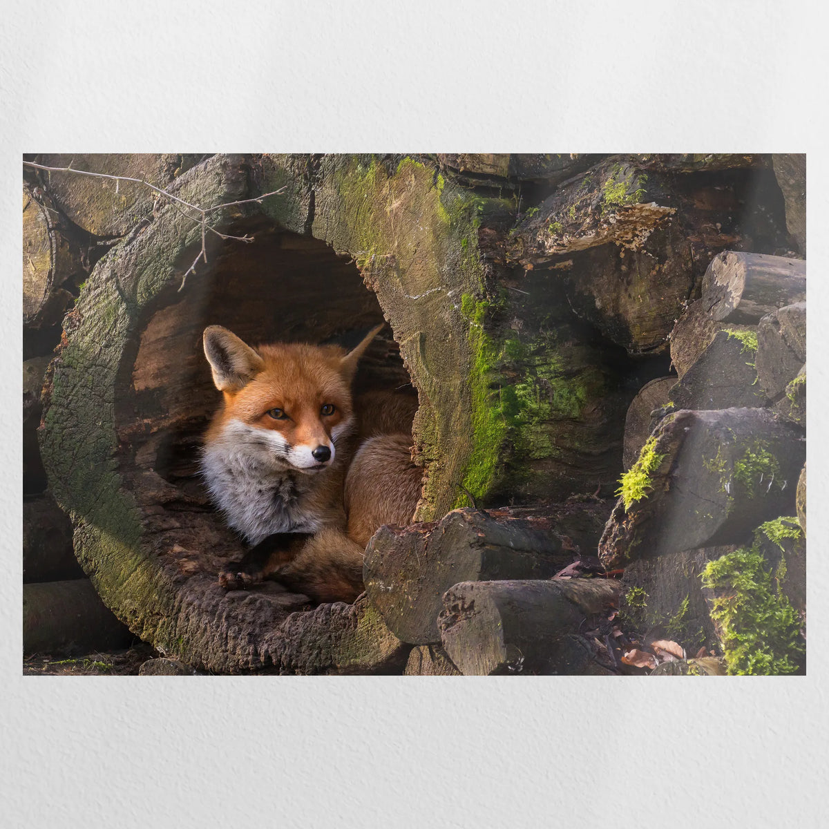 PO-090W060
