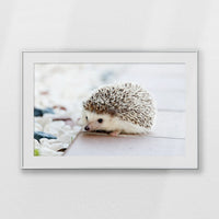 PSP100W070