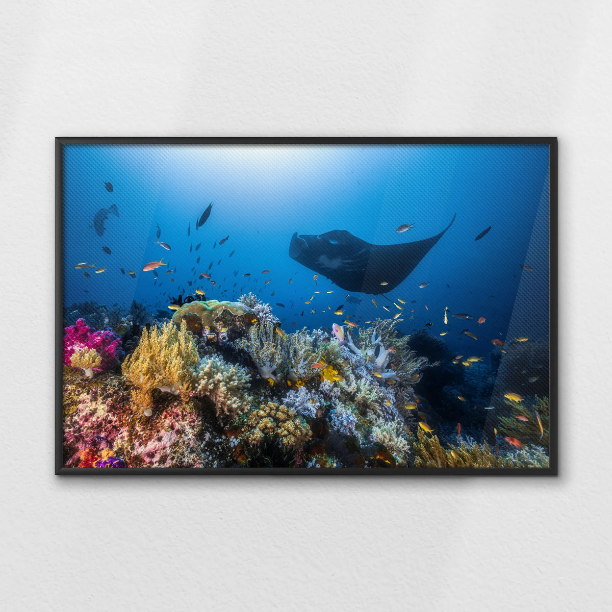 LWB120W080