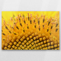 AL-060W040