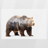PO-030W020