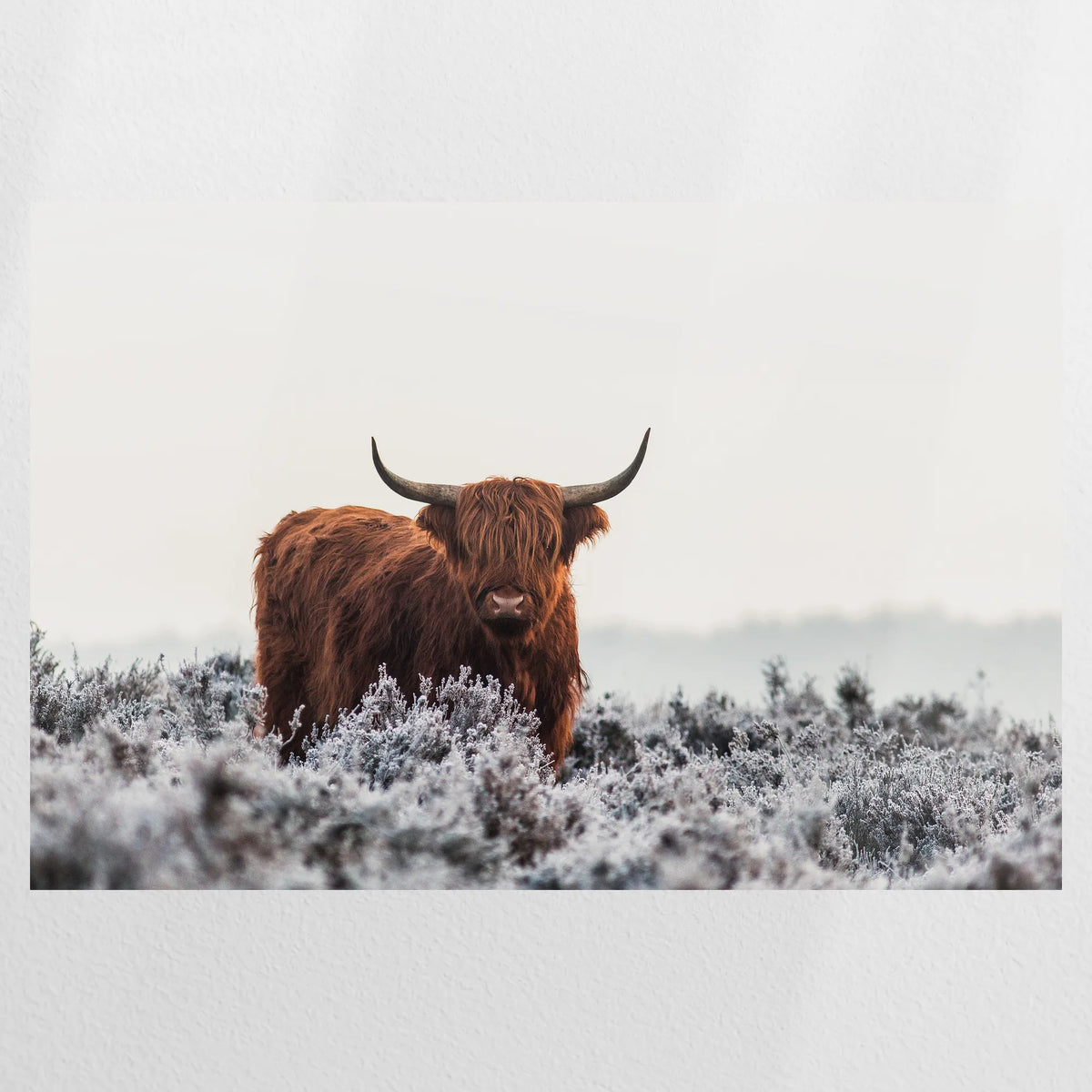 PO-090W060