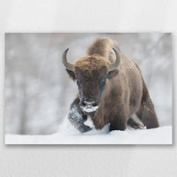 AC-045W030