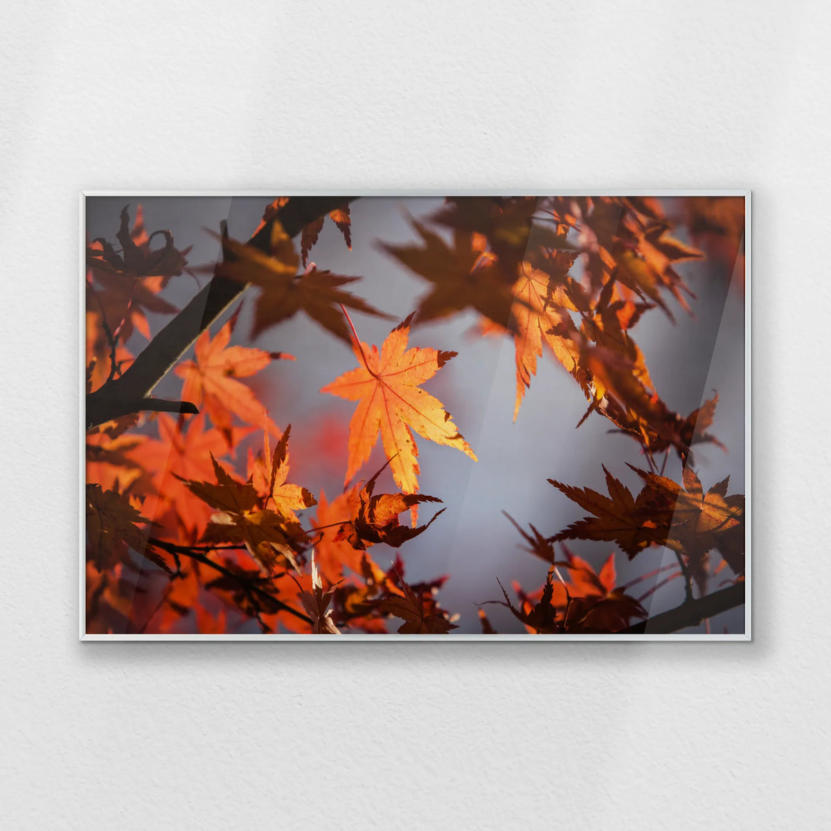 PS-093W062