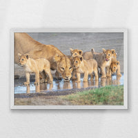 PW-060W040