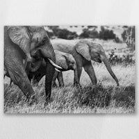 AC-030W020