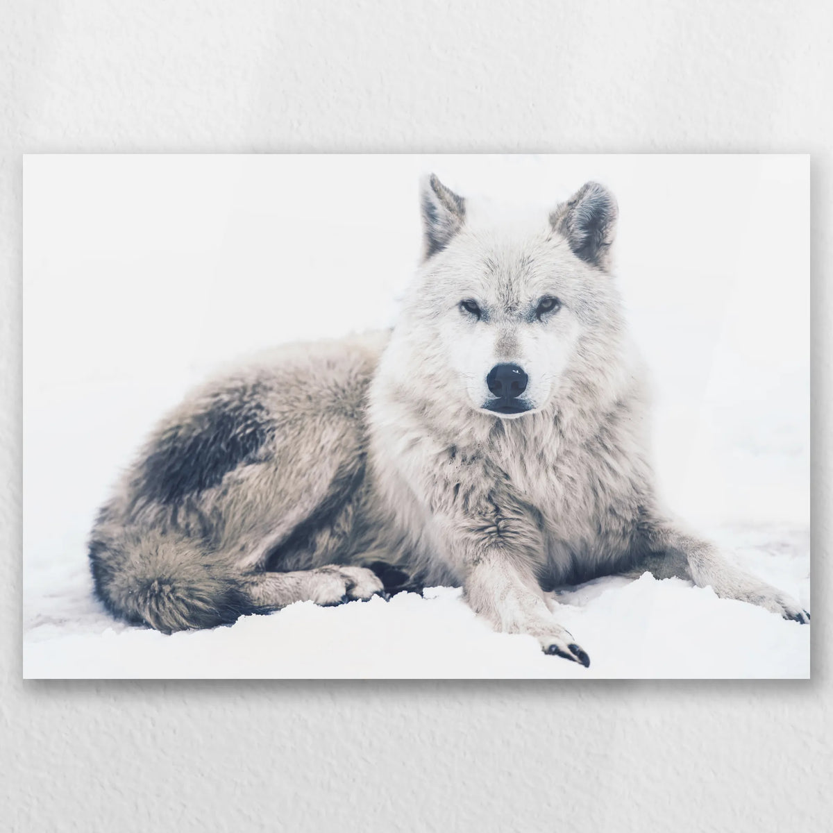 AC-060W040