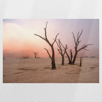 PO-045W030