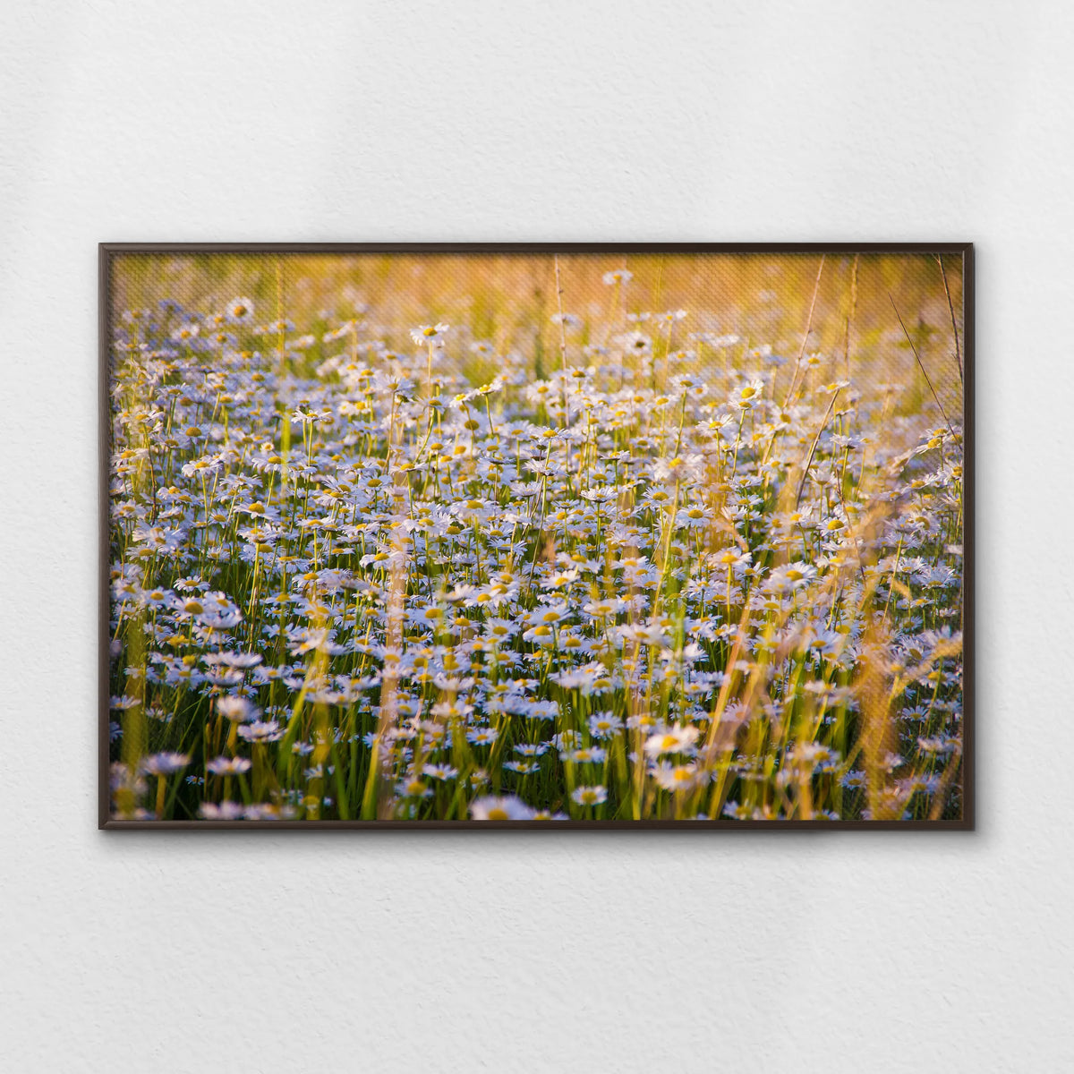 LWN120W080
