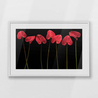 PWP093W062