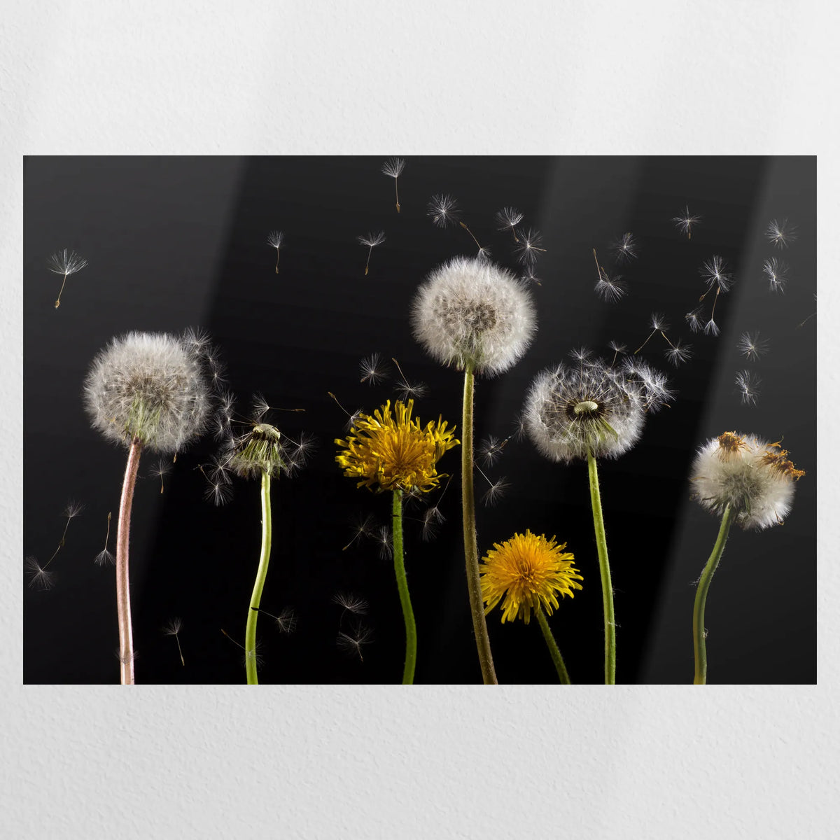 PO-075W050