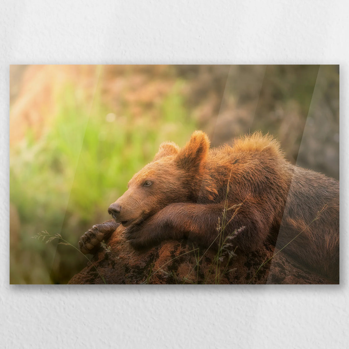 AC-045W030