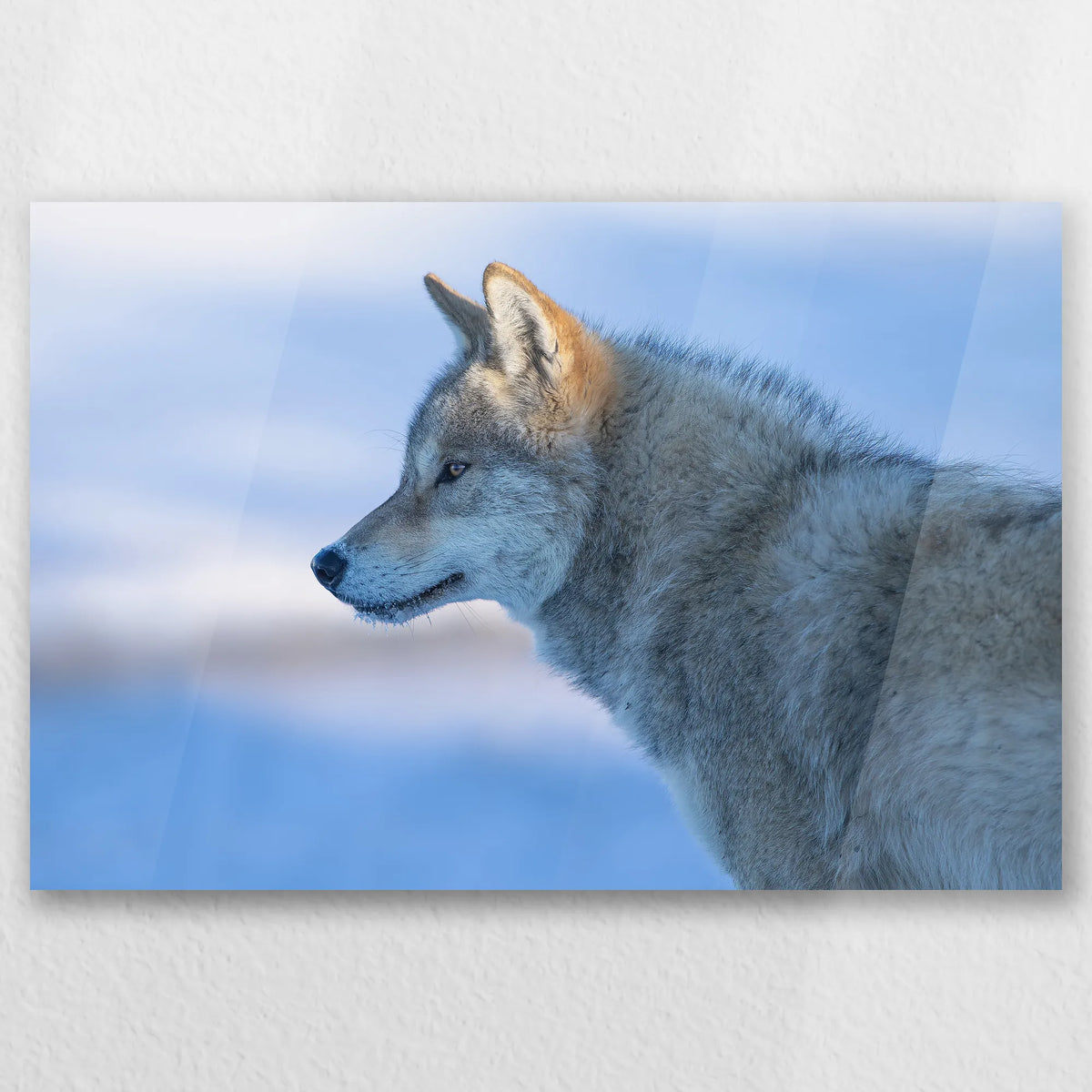 AC-045W030