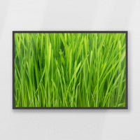 PK-100W070