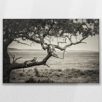 LW-090W060