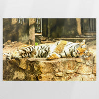 PO-075W050