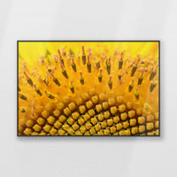 PB-100W070
