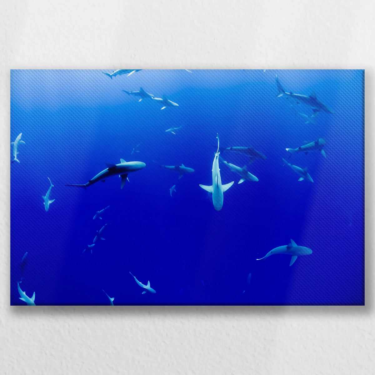 LW-045W030