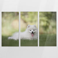 AC-210R140