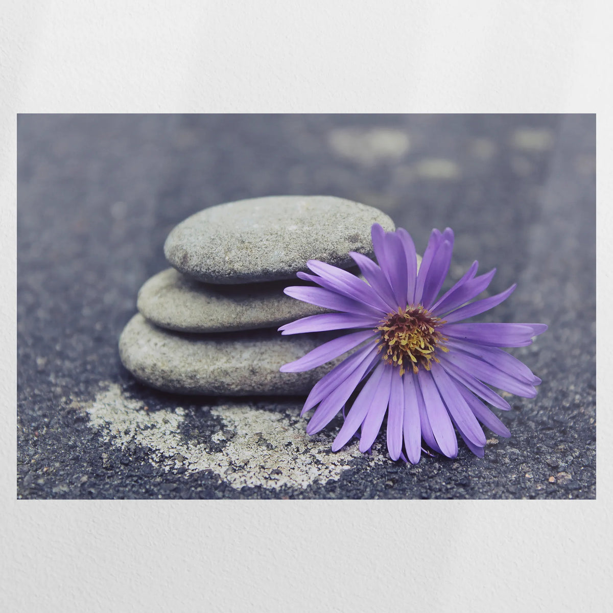 PO-090W060