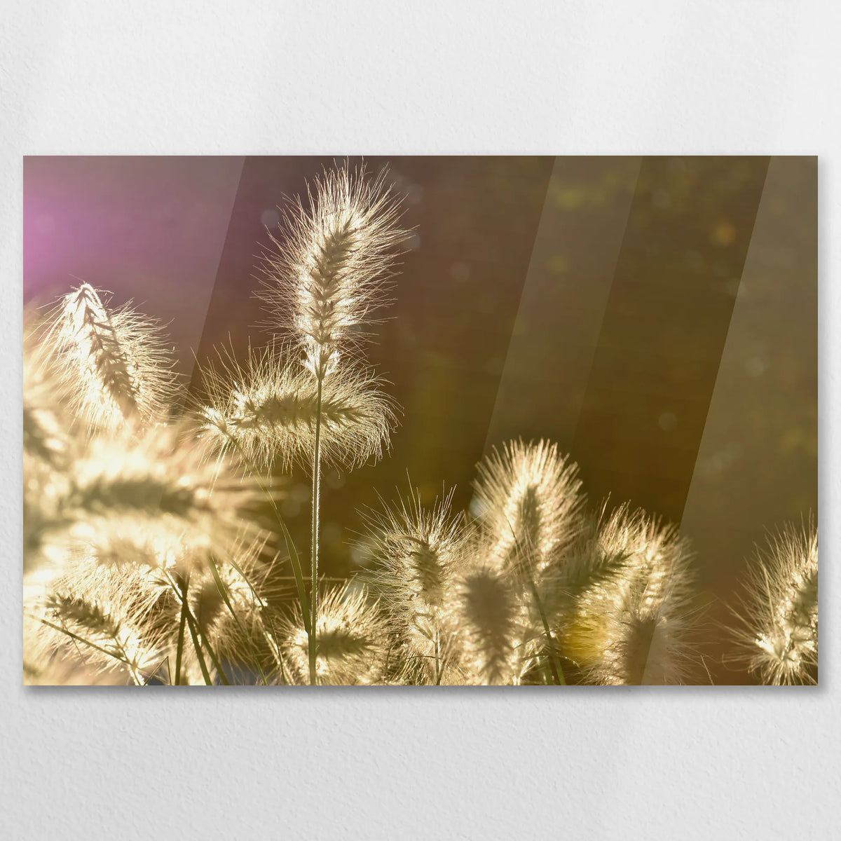 AC-075W050