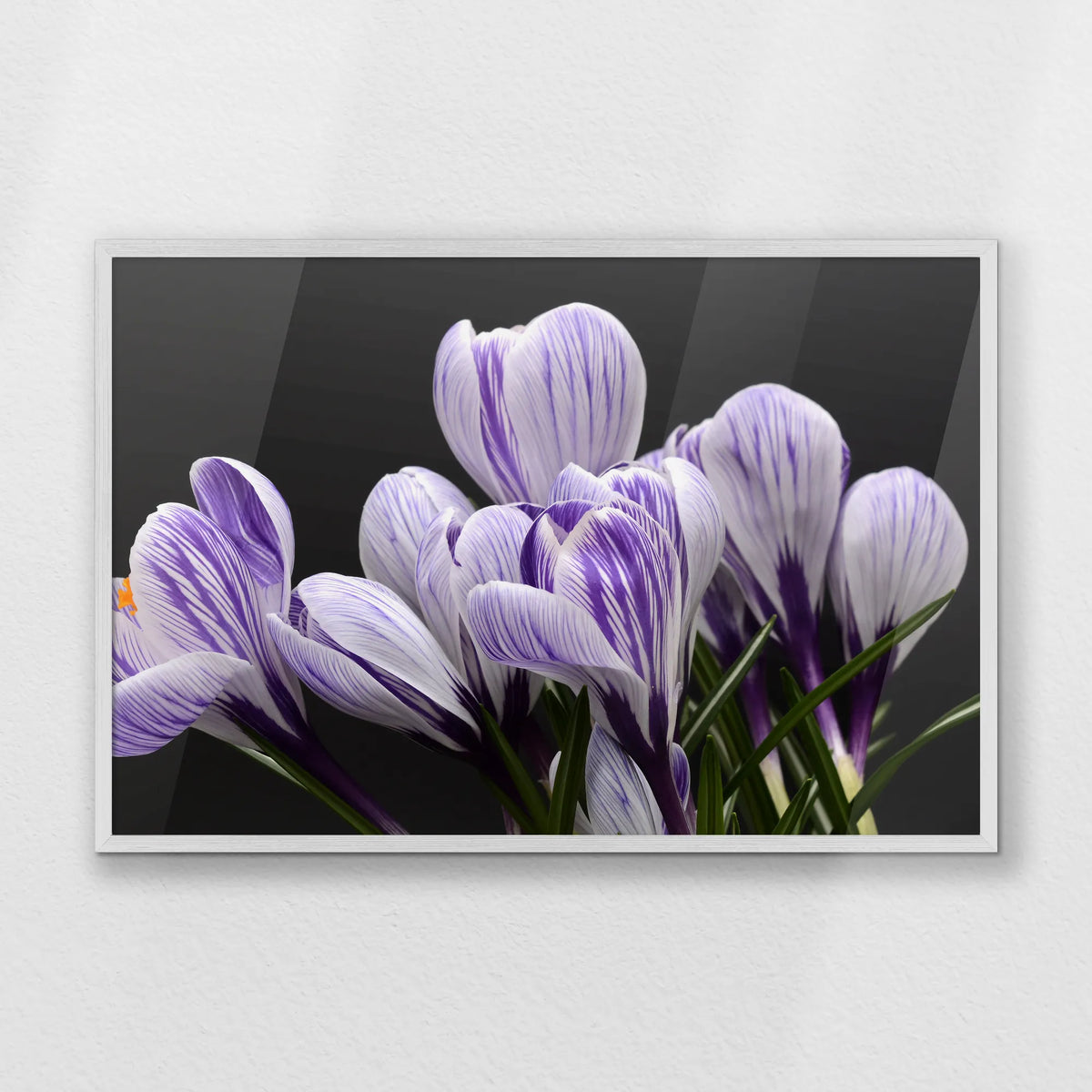 PW-093W062