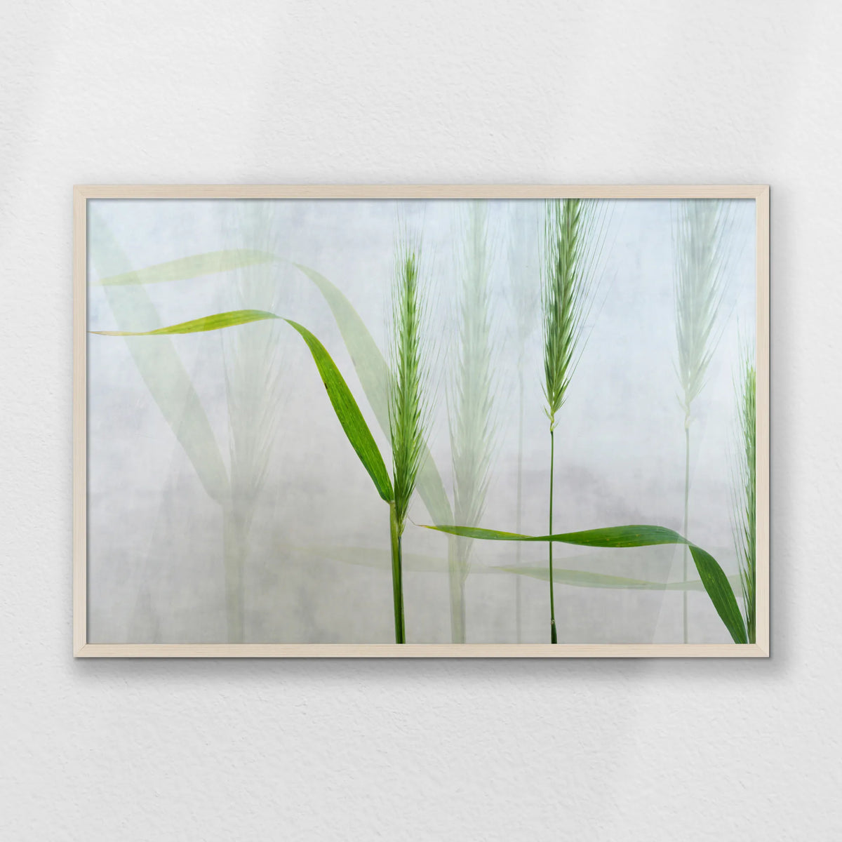 PN-093W062