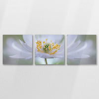 AL-090S030