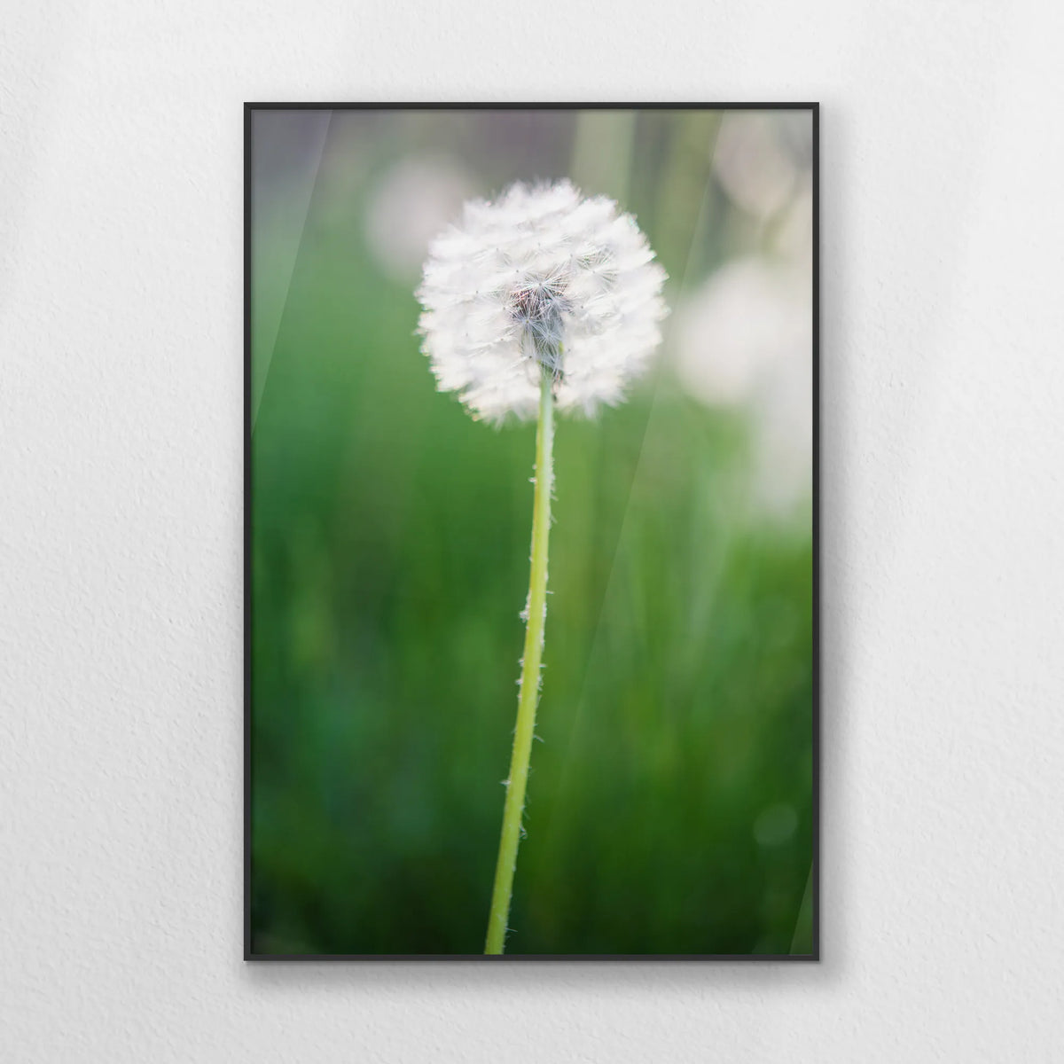 PB-070W100