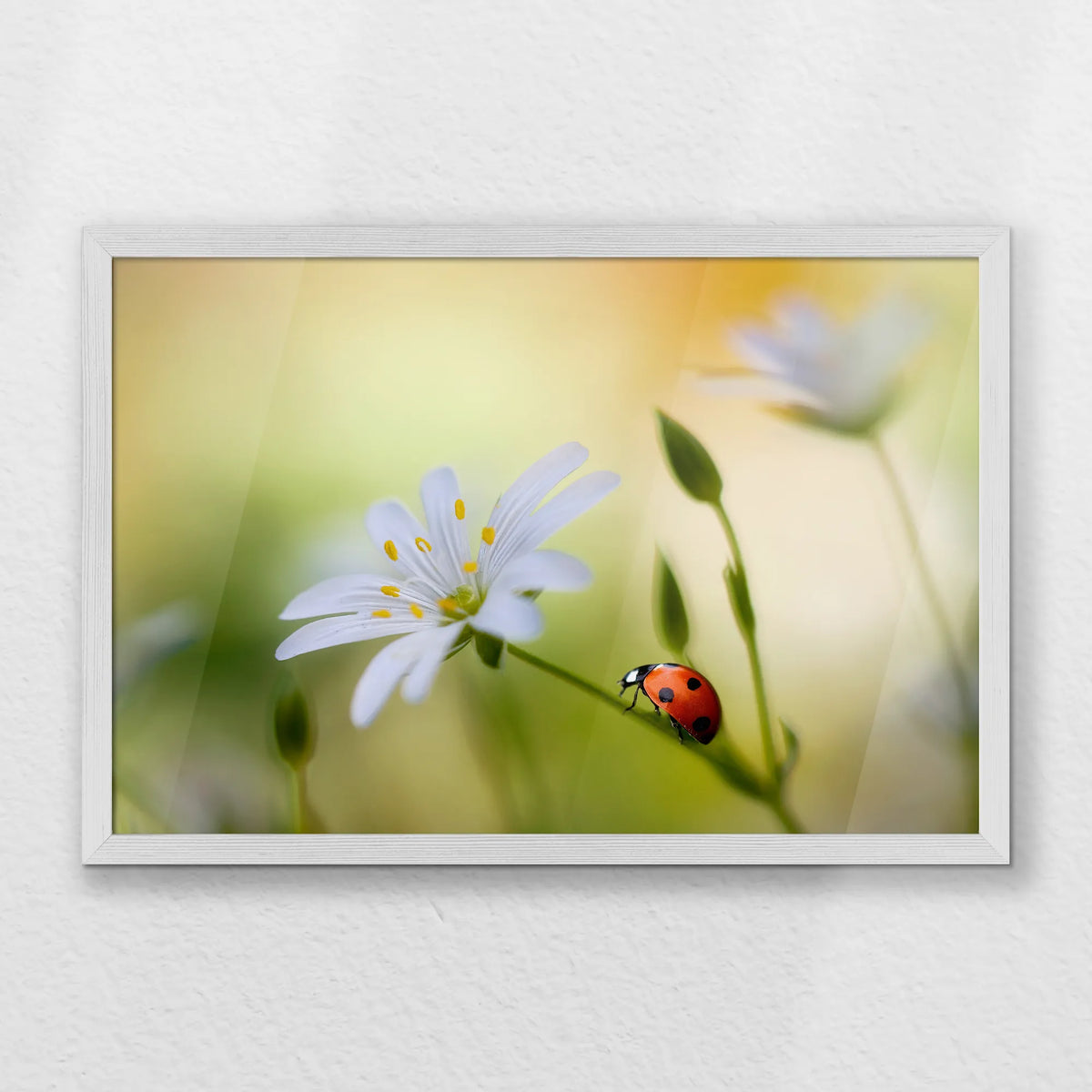 PW-060W040
