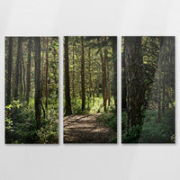 AL-120R080