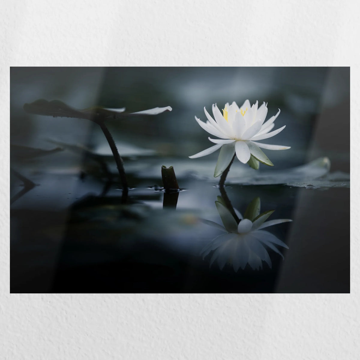 PO-030W020