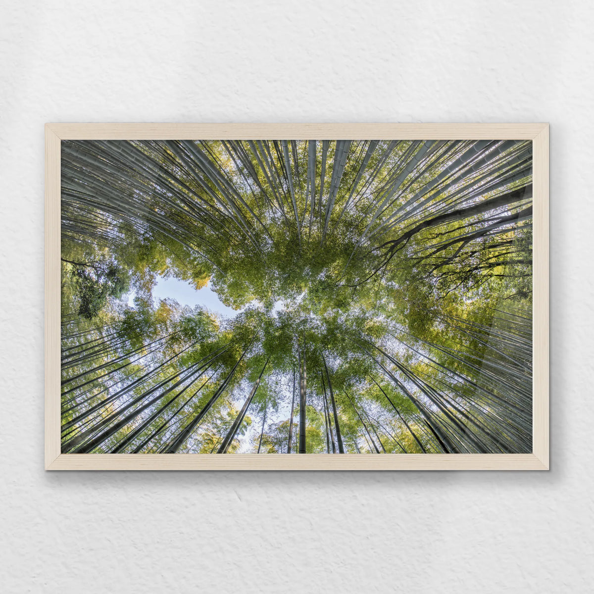 PN-060W040